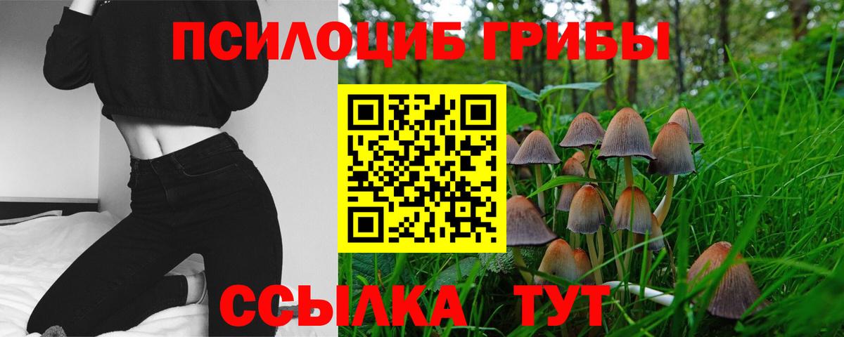 Псилоцибиновые грибы Magic Shrooms  Вход с VPN  Ростов Великий 